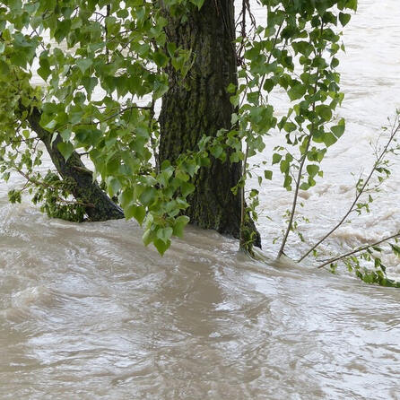 Petition zu mehr Hochwasserschutz im Zusamtal - Bürgermeister im Landkreis Augsburg schließen sich zusammen