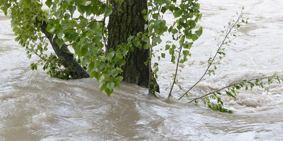 Petition zu mehr Hochwasserschutz im Zusamtal - Bürgermeister im Landkreis Augsburg schließen sich zusammen