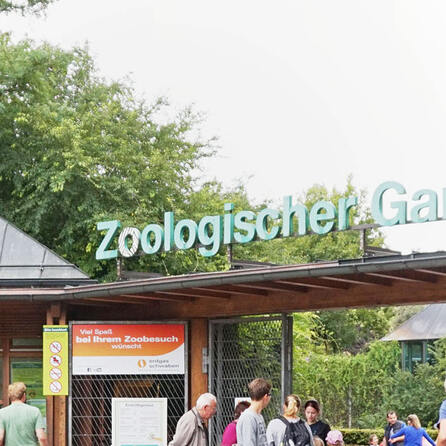 Tipp für die Sommerferien: Der Augsburger Zoo mit neugeborenem Katta-Baby