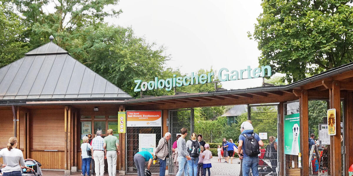 Tipp für die Sommerferien: Der Augsburger Zoo mit neugeborenem Katta-Baby