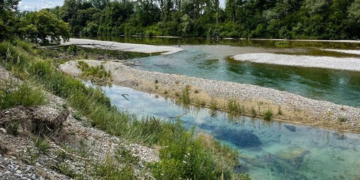 Jetzt könnt Ihr bei der Lechgestaltung mitwirken - WWA Donauwörth startet Befragung