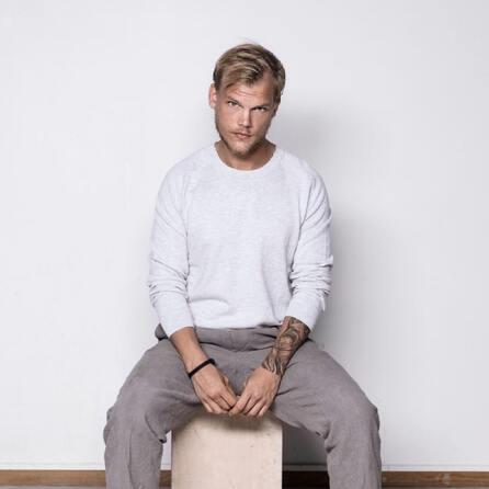 Avicii-Kollab-Partner hat neuer Veröffentlichung nie zugestimmt