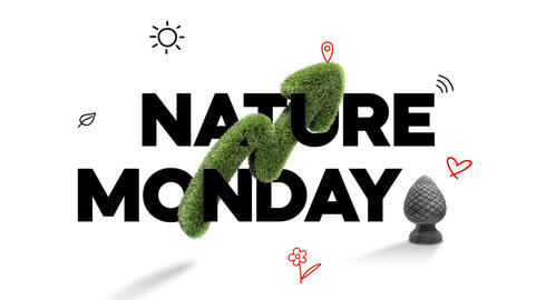 Der Radio Fantasy Nature Monday