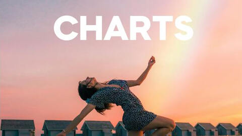 Die Radio Fantasy Charts